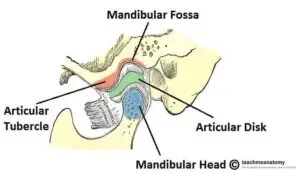 Dr Prostho Dental Clinic | Manage TMJ Pain